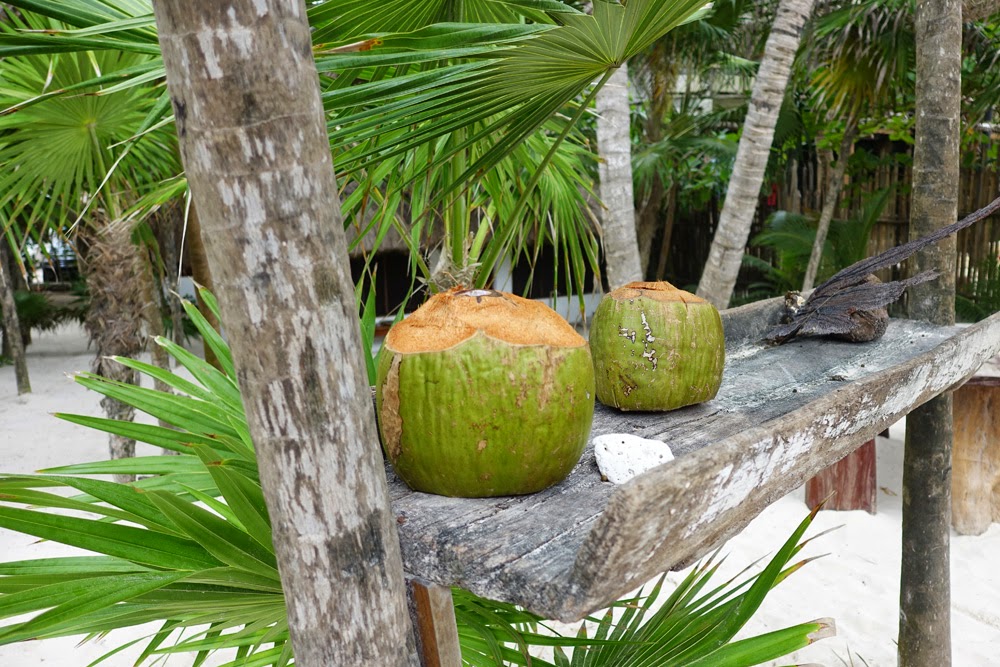Tulum-coconuts